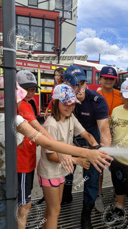 �������� � ������ � �����. ��������� ����-1 �������� � ����� �� ���������� �������� "Lions arena" � ������������� ���������� ������� ������