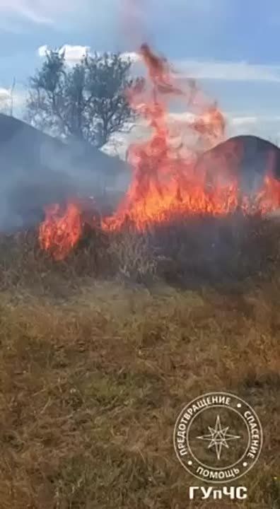 �� ��������� ����� ����� � ������ �������� ������������ ��������