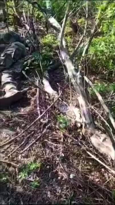 ��������� ������ ����������� 127 �������������� ������� �� ���������� ��� ���, ����������� � ������ �� ���������