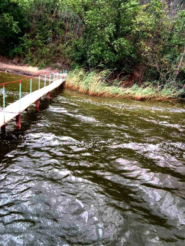 ����� � �����������. ���� �� �����.