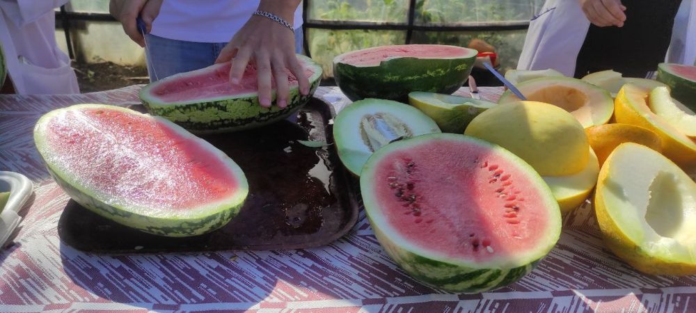 ������������ ���� ����������� ������ ������������������ ���������� ����� ������