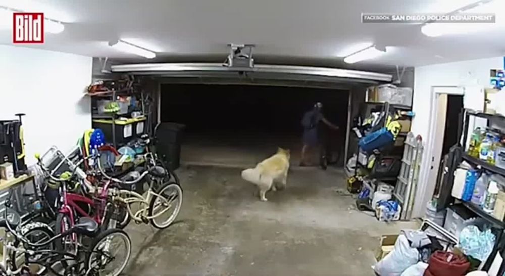 � ��� ������� ������� ���������� ������ � ����