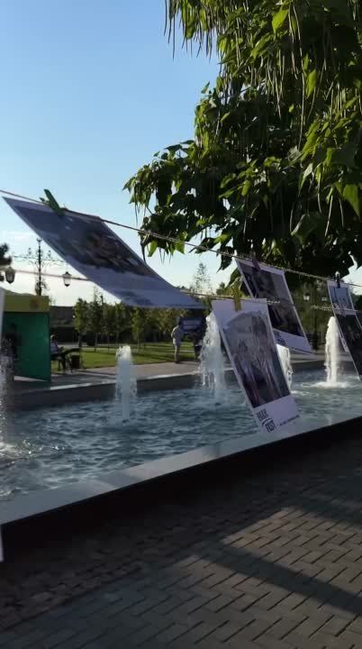 �Park Fest� � ���������