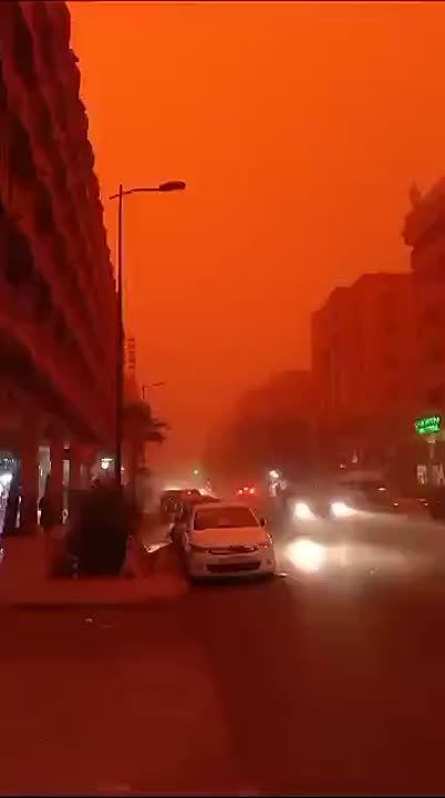 ����? ���, �������. ����� �������� ������� �������� ����. ����������� ������� � ����� +50��