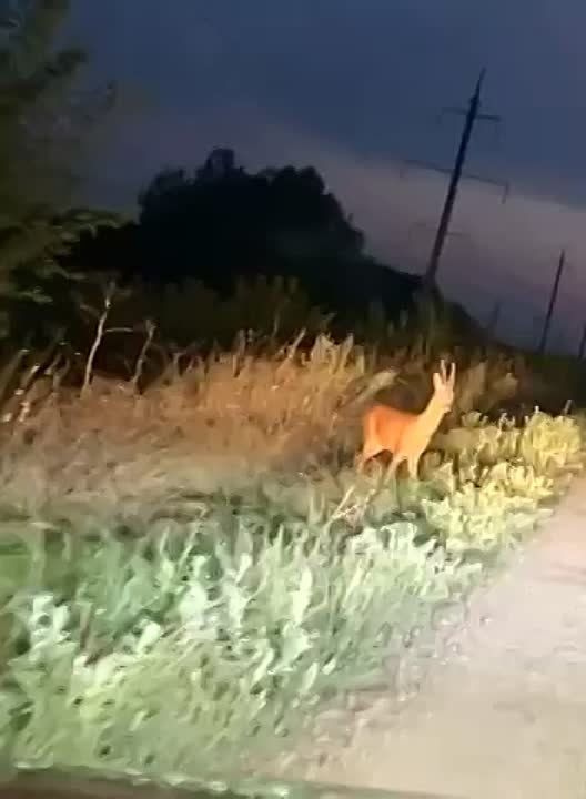 ���������� ������� ������ �� ������ � ���������� ���