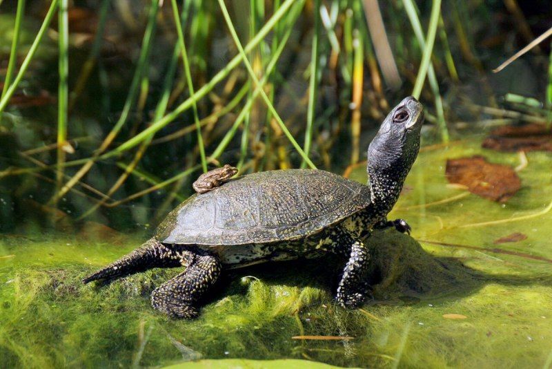 ������� �������� ����� ���������� ��������� ��������� � ������� ��������������� ������������� ����� � �����