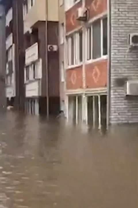 ��������� ������� �������. �� ����� - ����������� ���������, ���������� ����� ��������