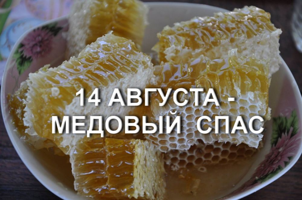 ������� ����. ������� �� ��������� ���������- ������� ����