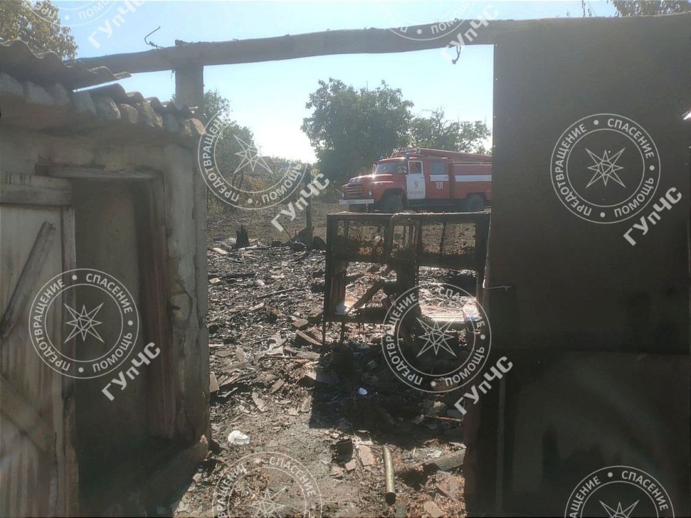 ������� ������ 20 �������� � ���� ����������� ����������������� ������