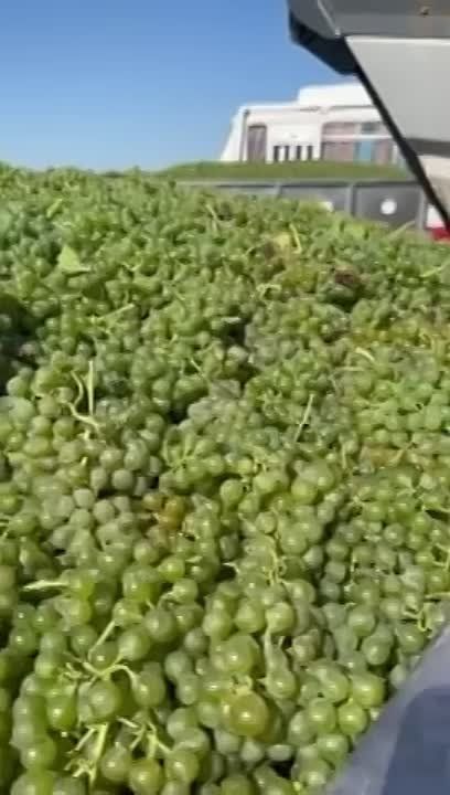 �� ���������� ������������� �������� ������ ���� ��������� � �������� ����