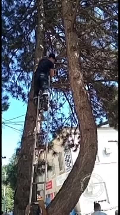 � ��������� �������� ����� ��������� �� ������� ����� � �� ����� ������