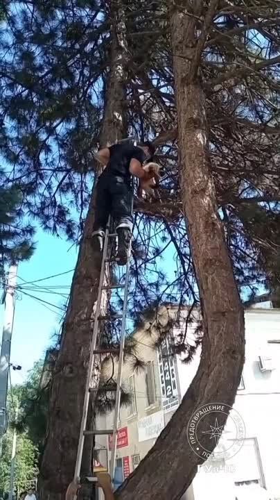 ��� ��, �� �������