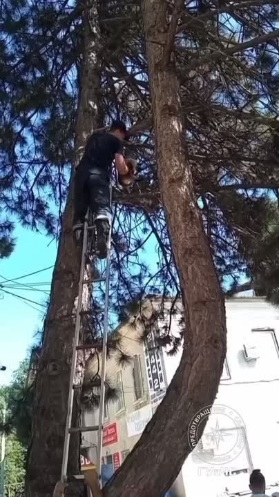 ������ �����. ���������� ����-8 ����� �������� ����� � ����� � ������ ���������, � �����. �� ������ ���������, �������� ��������� ������� �� ������ ��� ���, �� ����� ���������� ��������������