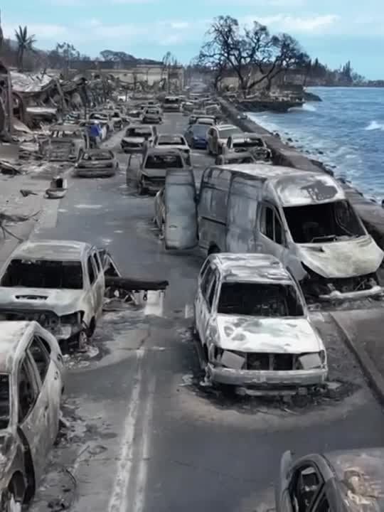 ����������� ������ �� �������: