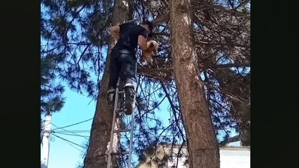 ������ �������, �� �� ����������: � ������������� ��������� ����� � ������ �������� �����, ����������� ��� ��� ���