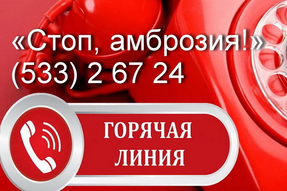 �� ������� ������� ����� �����, ��������!� ���������� ��������� ���������