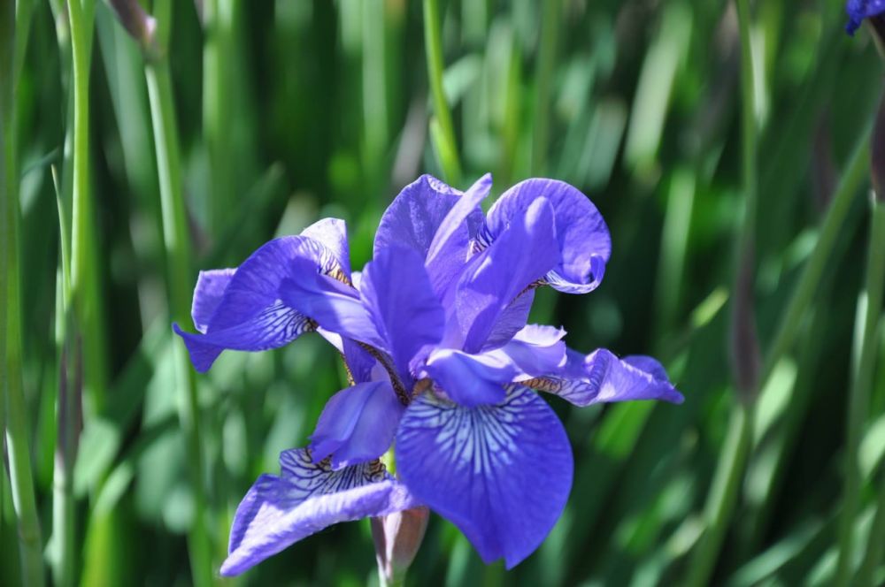 ������� ������. 14 ������� ��������� ���������� ����������, ��� �������