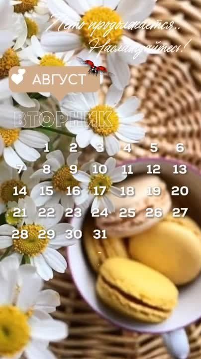 ������ ����!