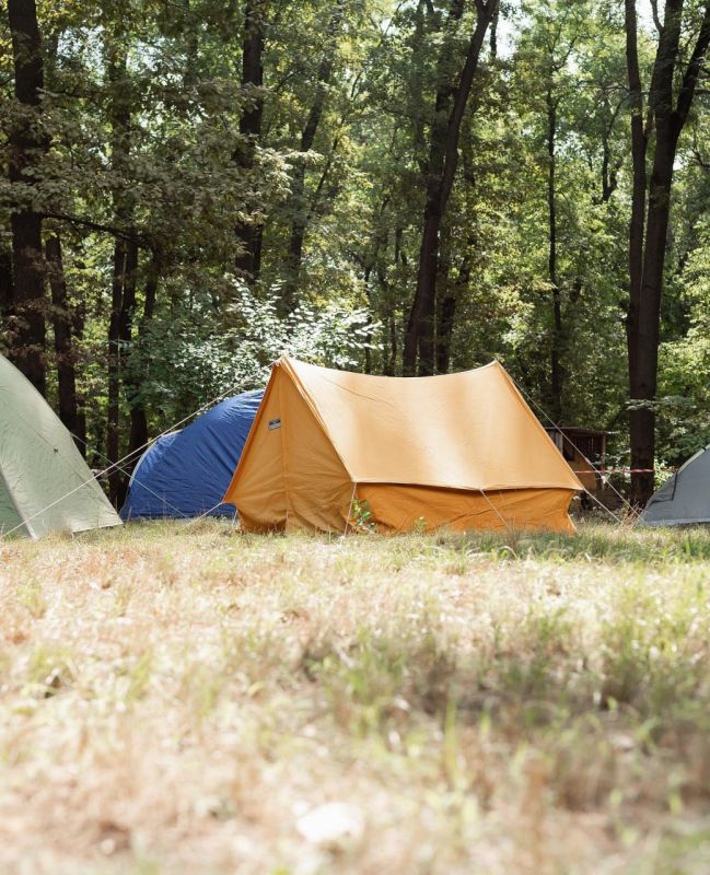 ��������� ����� � ������ ��������� ������ ������ �� ���������