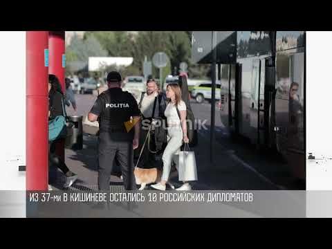 �������� ������� �������� ���������� ���������. ��� ���� ���������� ��������. ��� ������?