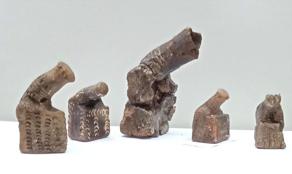 ���-5 �� ��� ���������. ����� ������ ������� �� ���� ���: