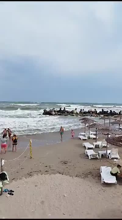 �� ������������ ������ ������� � �������� ������ ������� �����