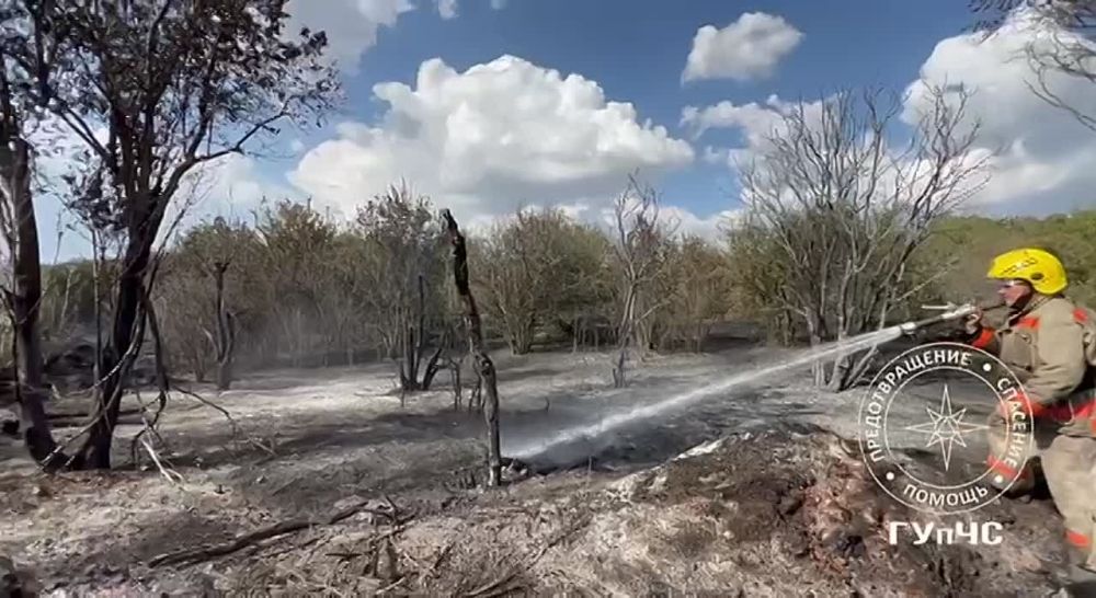 ���� - ����� ������� �����