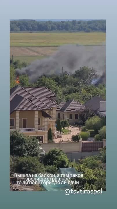 ����� �� ����������. ����� ������ ����� �� 1 ��� � ���������. �������� �����