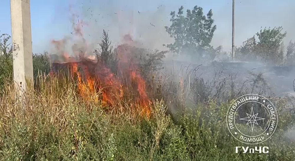 ����� ������ ����� � ������� � ���������