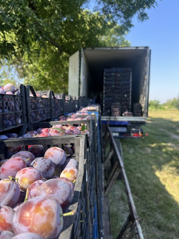 � �������� ������ ������� ������ ������ �����