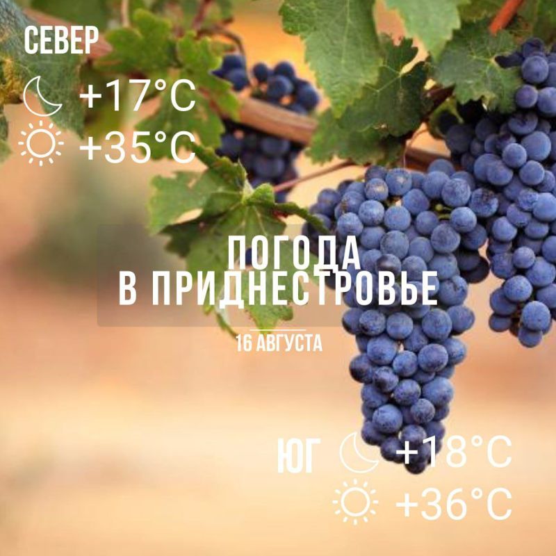 �����, ��� ����� � ��������, ��� ������