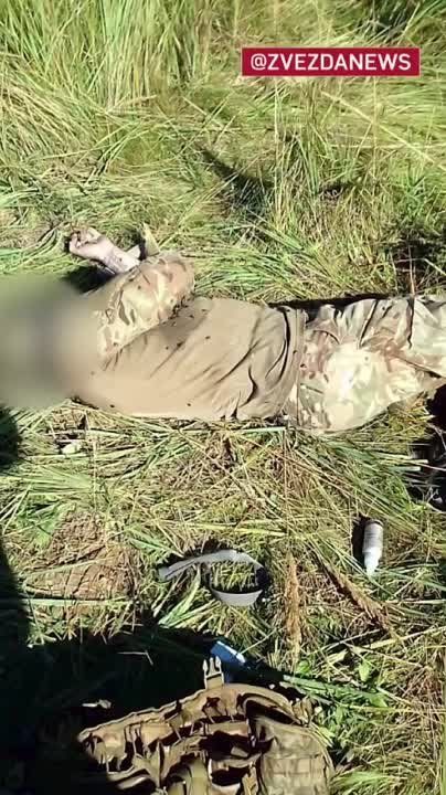 ��������� ������� ������������� �� ���������� ������ ���������� �����������, ������� �������� �������� ������� � ������������ ������ �������� �������, �������� ���