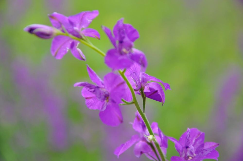 ������� ������. �������, 16 �������, ��������� ���������� ����������, ��� �������