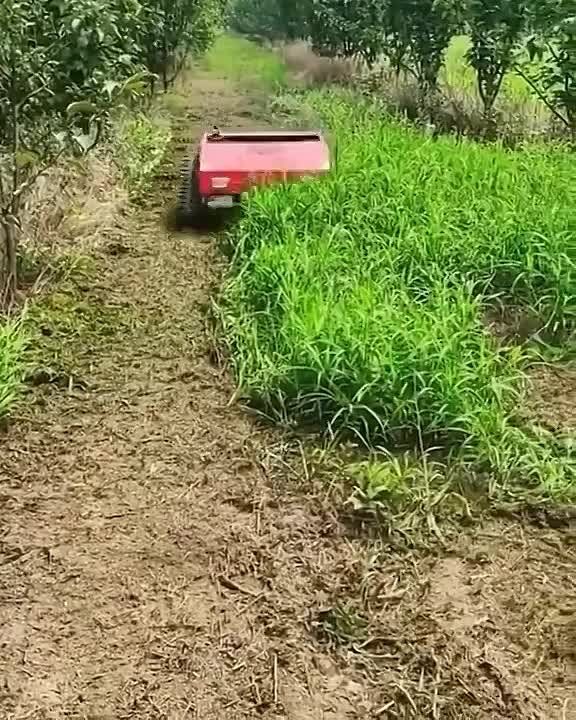 ����� ��� �����-�������, ������ � �������������