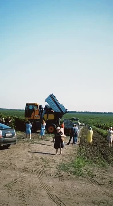 � �������� ������� ���� ������ ������ ���������