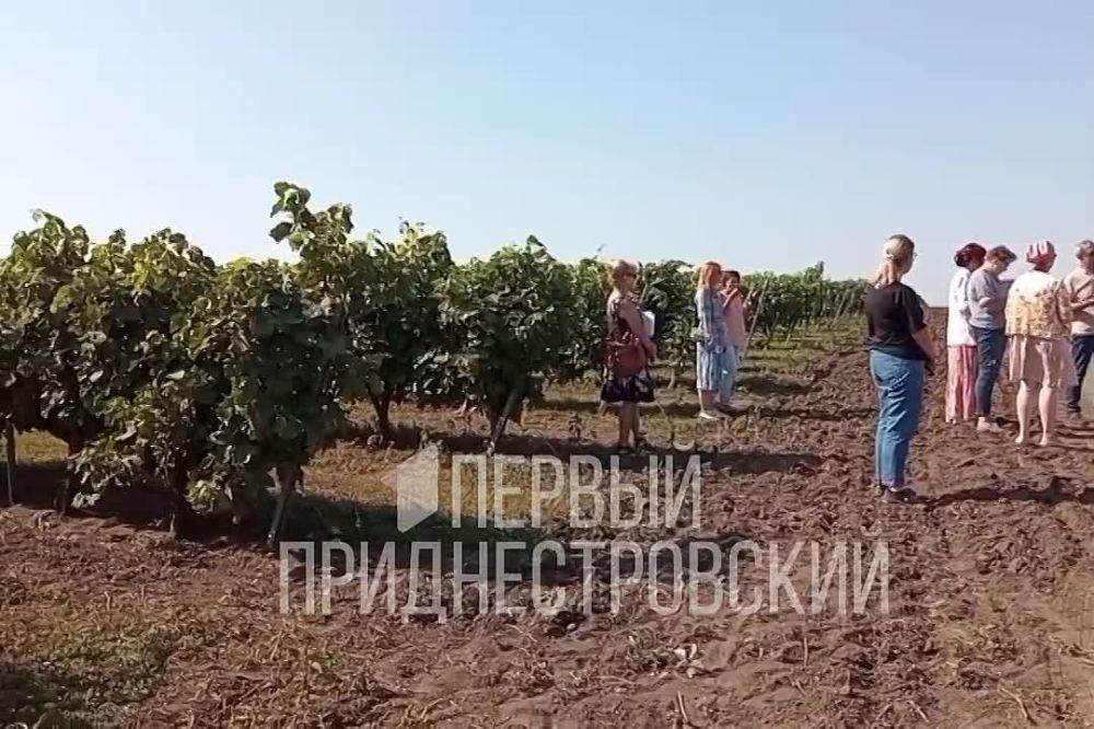 ������������ �� ������� � �� ���������� �������������