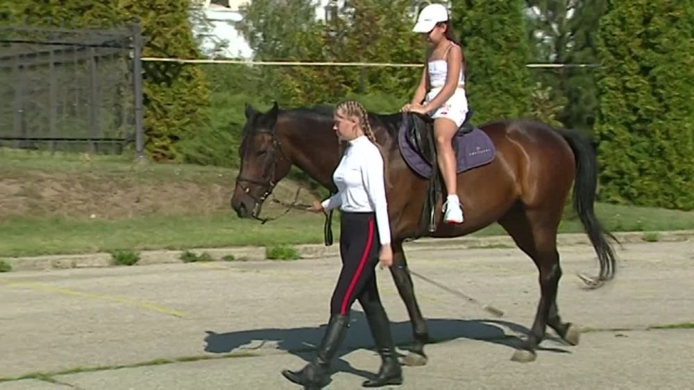 ������ ������, ������ � ����� ������ ����� � ������ �������