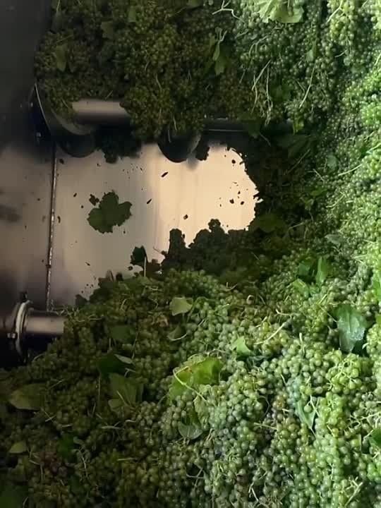 ��������� �� ������� ������������� ������������ ��� ��� ���������� �������������