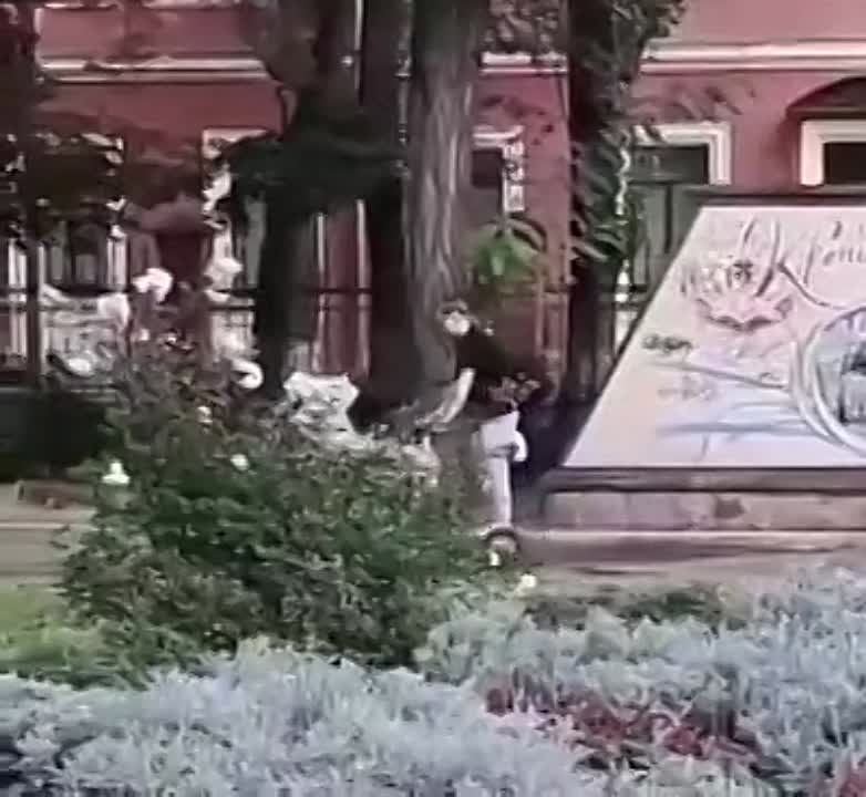 ���� ����.