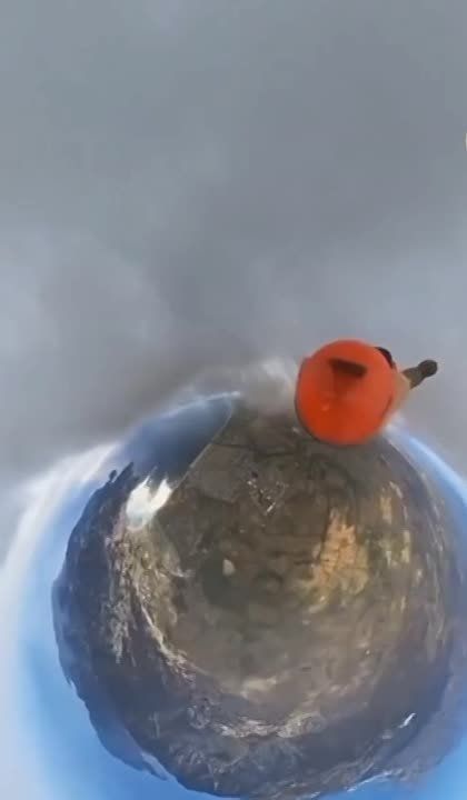 ����������, ����������� ������������� ������, �������� ��� ��������� ������ ������