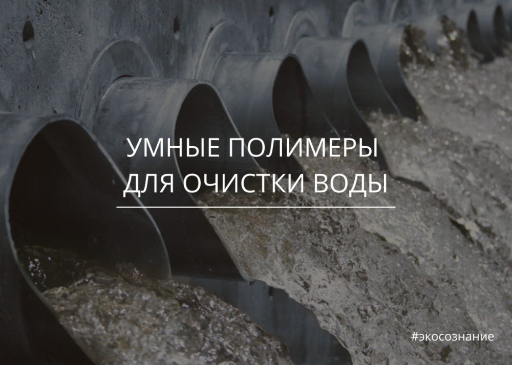 ������� � ������������ ������ ������������