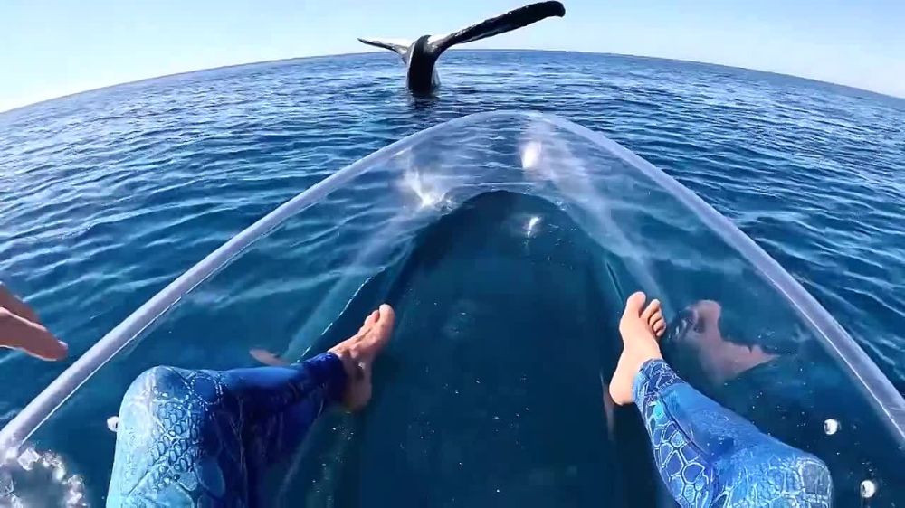 ������ �� ��������� ������ � ���� ������ ��������� ����: �������� ������ � ������������ ��������� ������� ����� � ����������� �� ���������