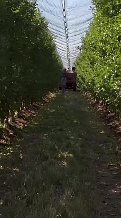 � ��������� ���� ������������� �������� ������ ������ � ���� ����