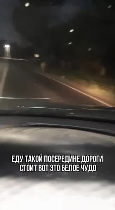 ����. ������. �������� ����� ����� �� �������. ��� ��������� ��������, ����� ������ ��� ����� ����