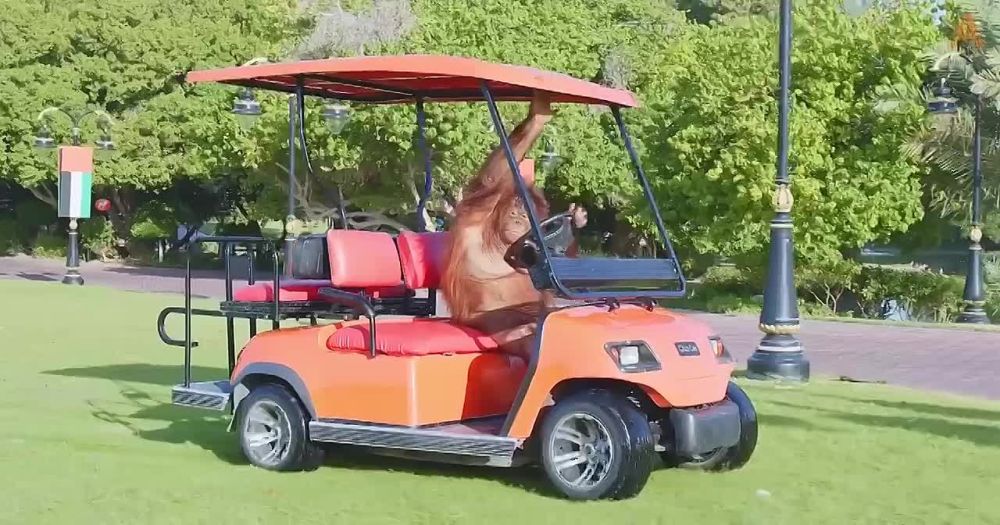 ����� ���������, ������� �������� ������ ��������, ����� �� ����������� ��������� ������� � ������������ � ������ ��������