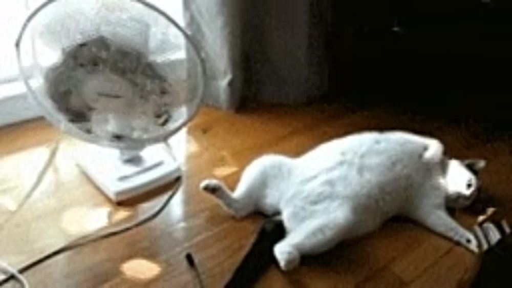 ������� � ������ �� ��������� ��� ������: