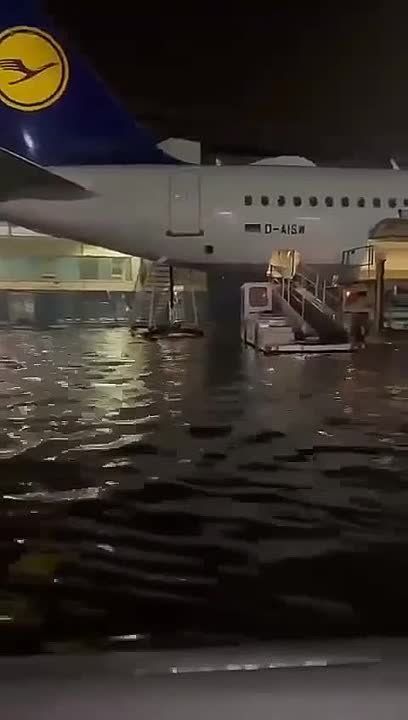 � ��������� ���������� �������� ������������ � ����������