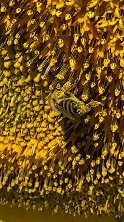 � ���� ���� �� �����. �� �������� �� ������ �� ����������. ��������� ��� ����������� �� ����. �������� ����������. �����...