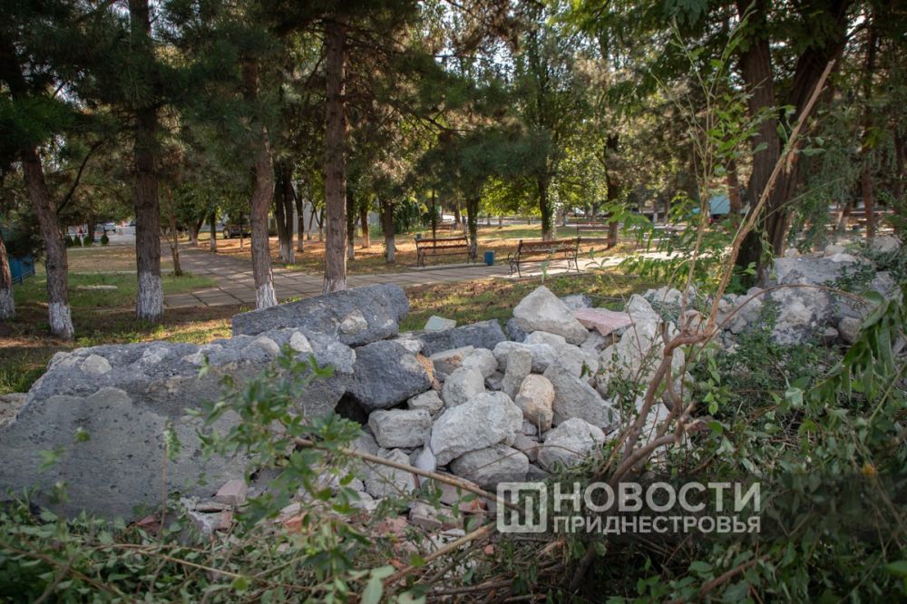 ������ ���������� � ��������� �������� ����� �����