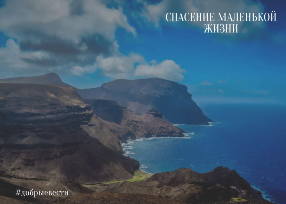 �������� ��������� �����. ��� ������ ������� ��������� � ����� 2015 ����. ����������� �������� BigLift ������ ����� ��� ��...